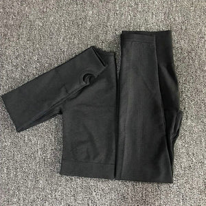 Conjunto Fitness legging e Manga Longa - 2 peças