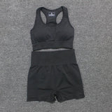Conjunto Fitness legging e Manga Longa - 2 peças